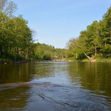 Hunter View Lodging Zewnętrze zdjęcie