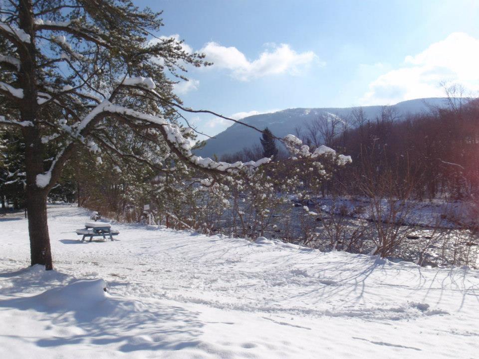 Hunter View Lodging Zewnętrze zdjęcie