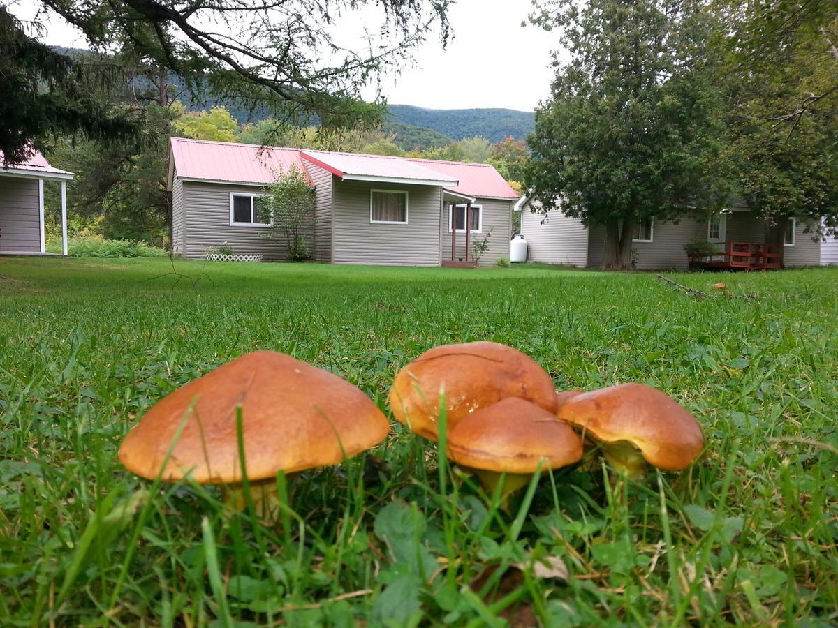 Hunter View Lodging Zewnętrze zdjęcie